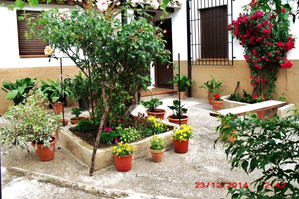 Willa Casa Del Abuelo 1 Yeste Zewnętrze zdjęcie